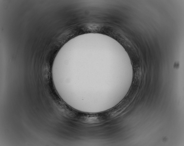 X0000101660651200808071022