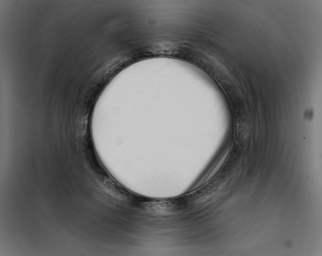 X0000101660652200808071022
