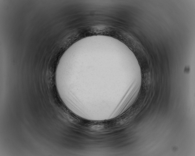 X0000101660653200808071022