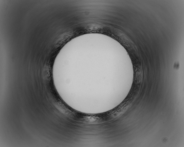 X0000101660654200808071022