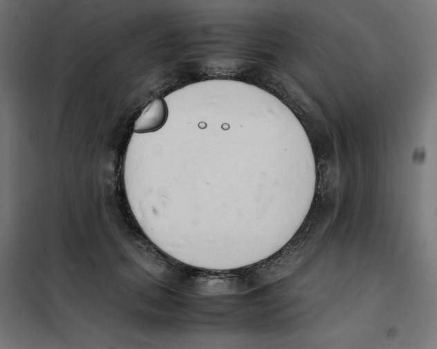 X0000101660655200808071022