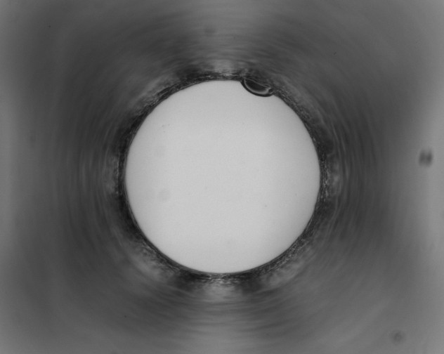 X0000101660656200808071022