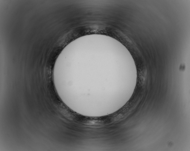X0000101660657200808071022