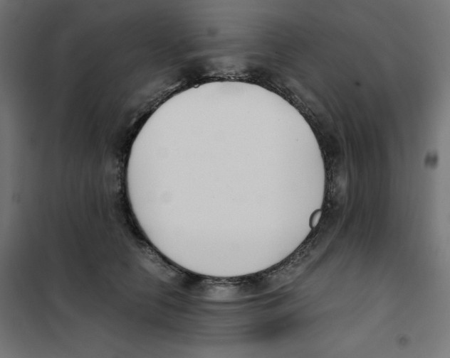 X0000101660658200808071022