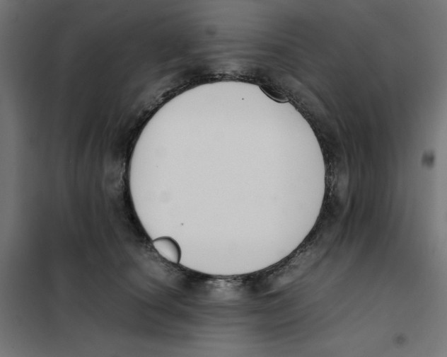 X0000101660660200808071022