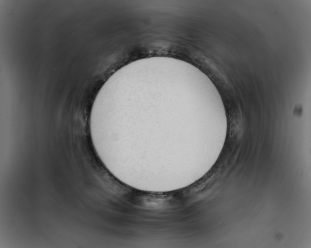 X0000101660661200808071022