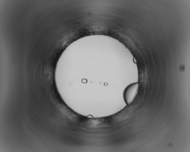 X0000101660662200808071022