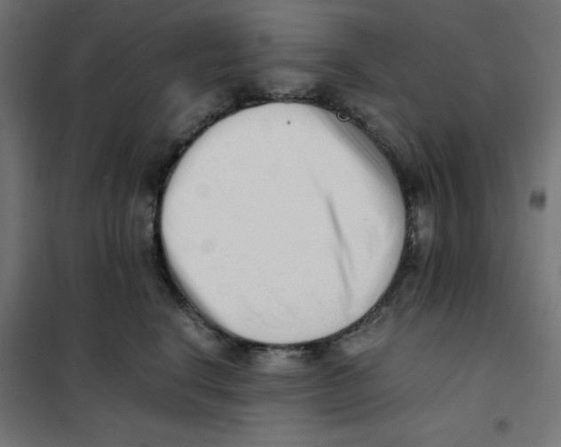 X0000101660664200808071022