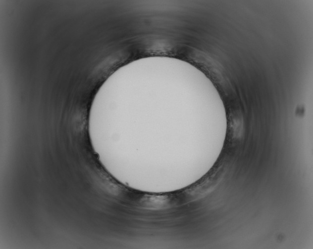 X0000101660665200808071022