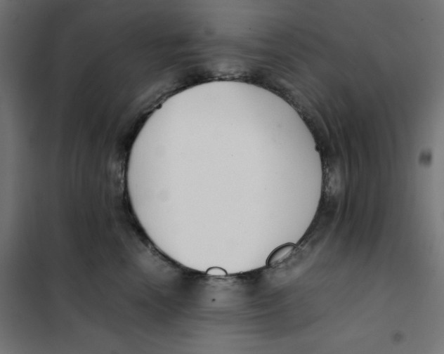 X0000101660666200808071022