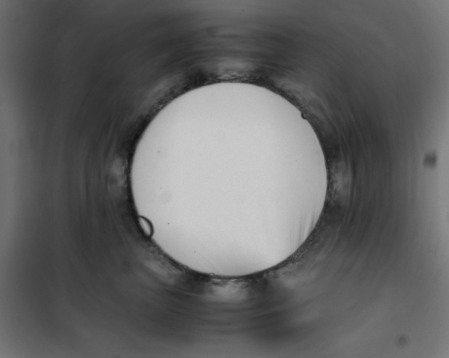 X0000101660667200808071022