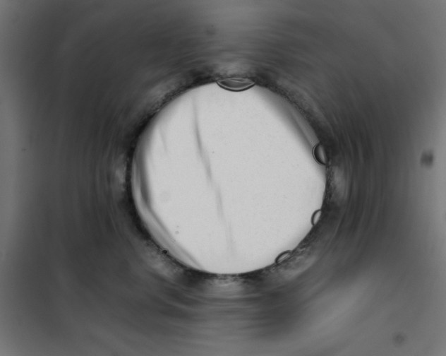 X0000101660668200808071022