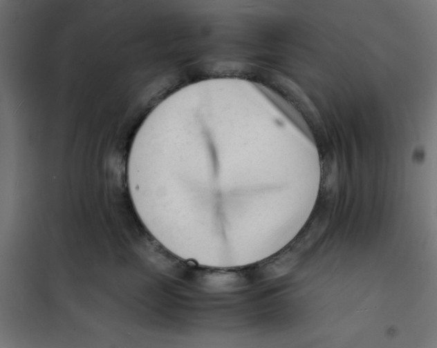 X0000101660669200808071022