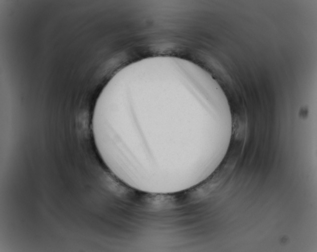 X0000101660670200808071022