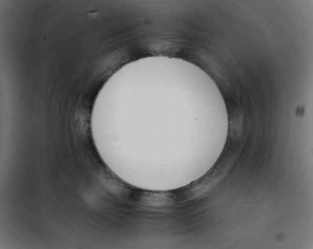 X0000101660671200808071022