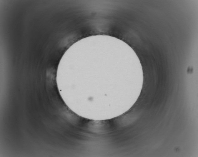 X0000101660672200808071022