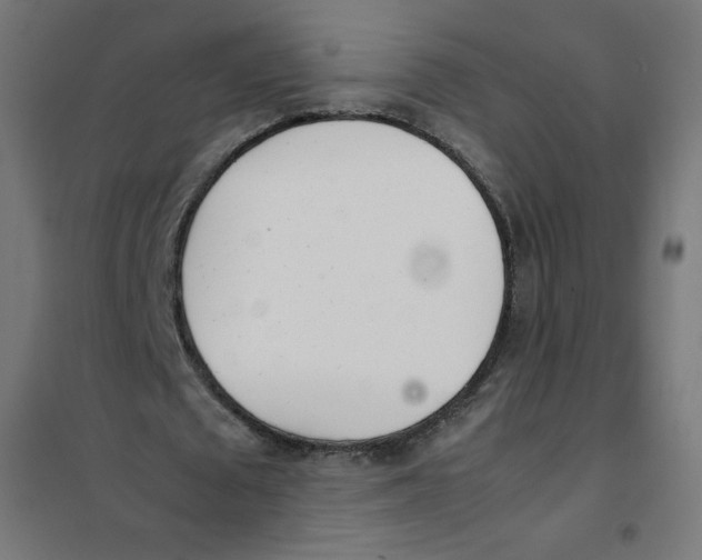 X0000101660673200808071022