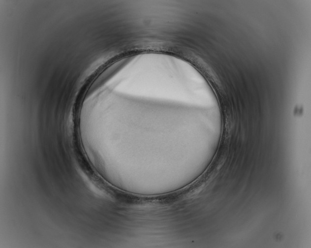 X0000101660674200808071022
