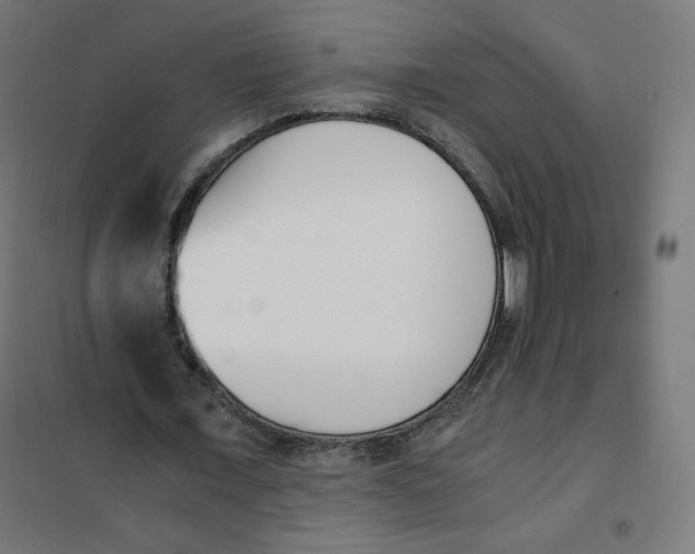 X0000101660675200808071021