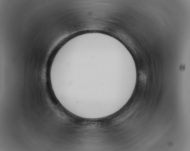 X0000101660676200808071021