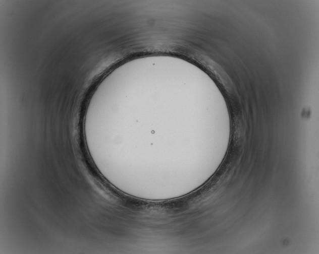 X0000101660677200808071021