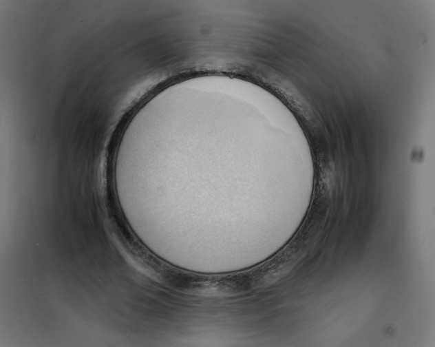 X0000101660678200808071021