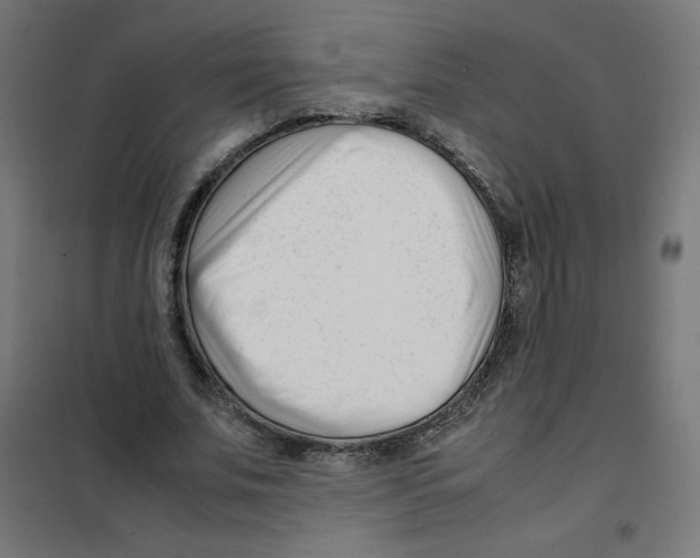 X0000101660679200808071021