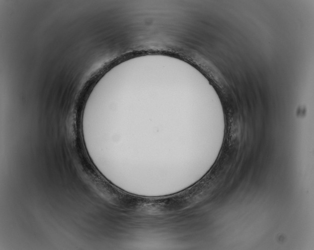 X0000101660680200808071021