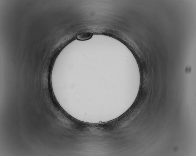 X0000101660681200808071021