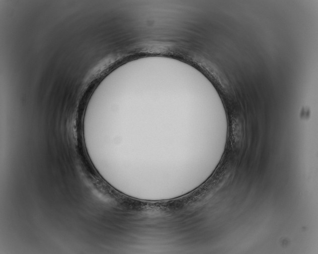 X0000101660682200808071021