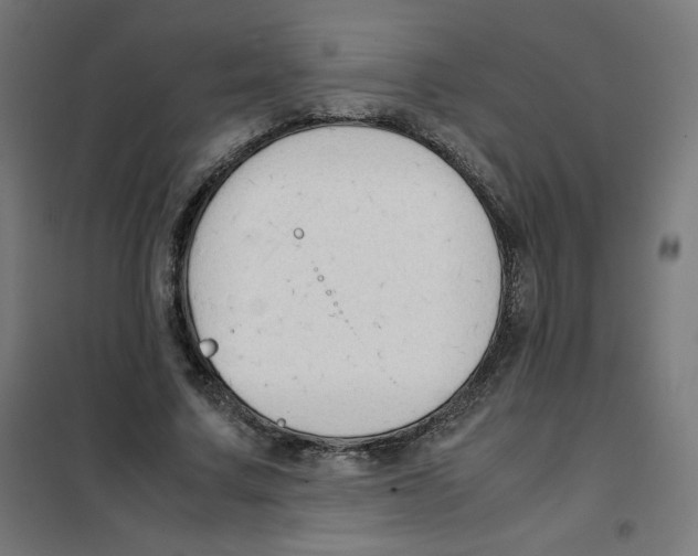 X0000101660683200808071021