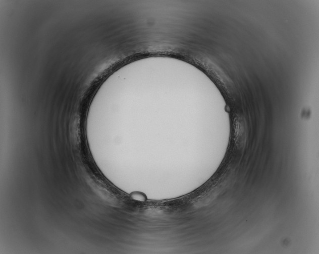 X0000101660684200808071021