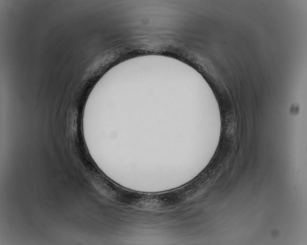X0000101660685200808071021