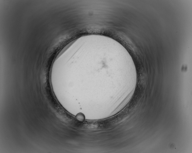 X0000101660687200808071021
