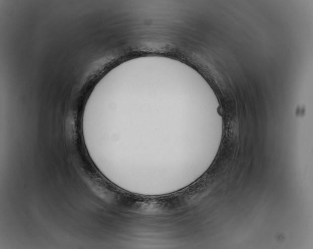 X0000101660688200808071021