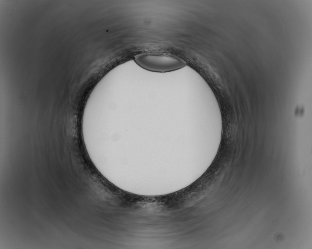 X0000101660689200808071021