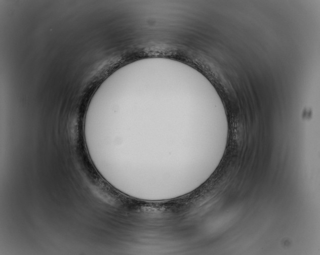 X0000101660690200808071021