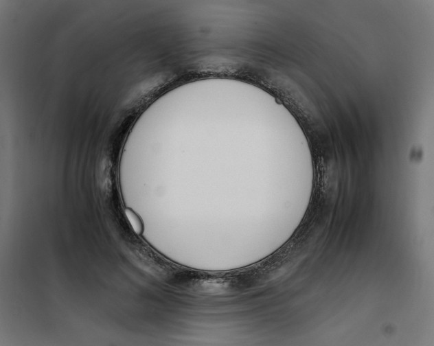 X0000101660692200808071021