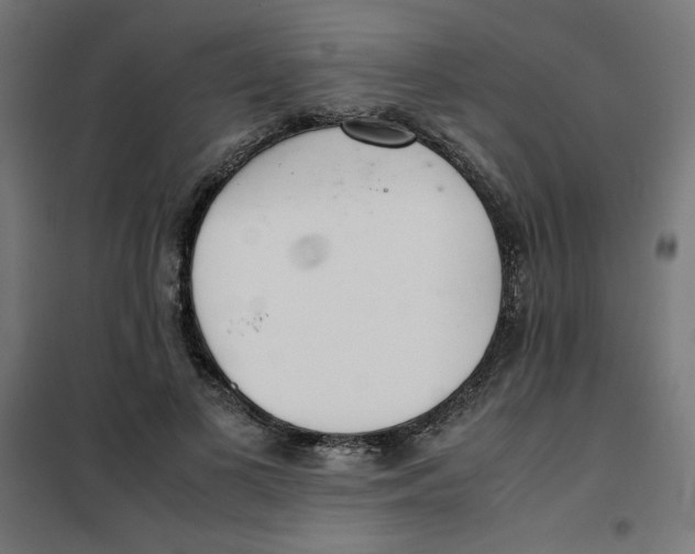 X0000101660693200808071021