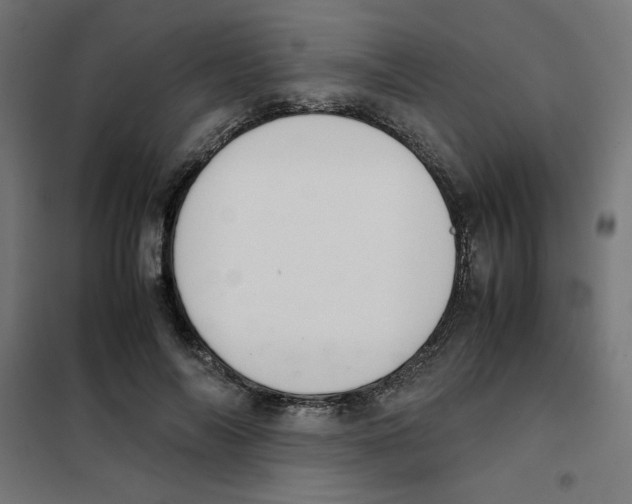 X0000101660694200808071021
