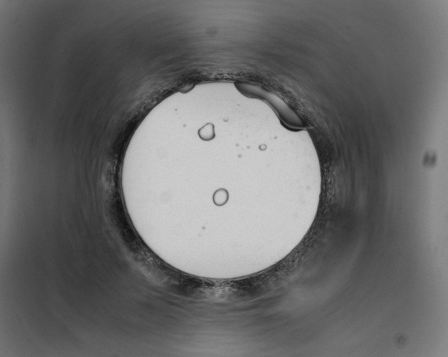 X0000101660695200808071021
