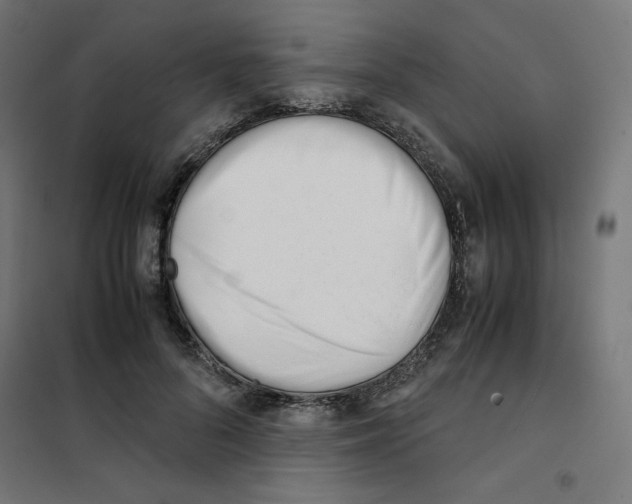 X0000101660696200808071021