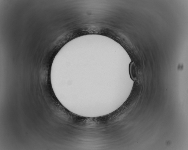 X0000101660697200808071021