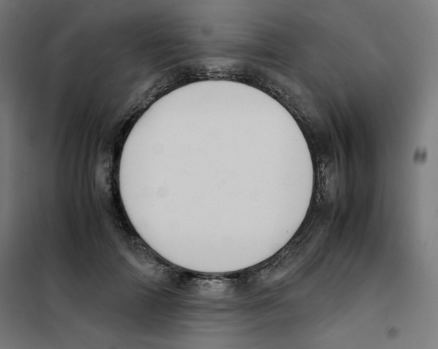 X0000101660698200808071021