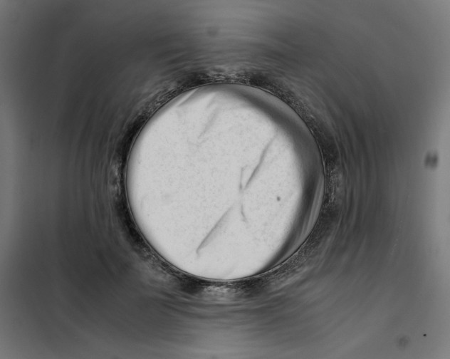 X0000101660699200808071021