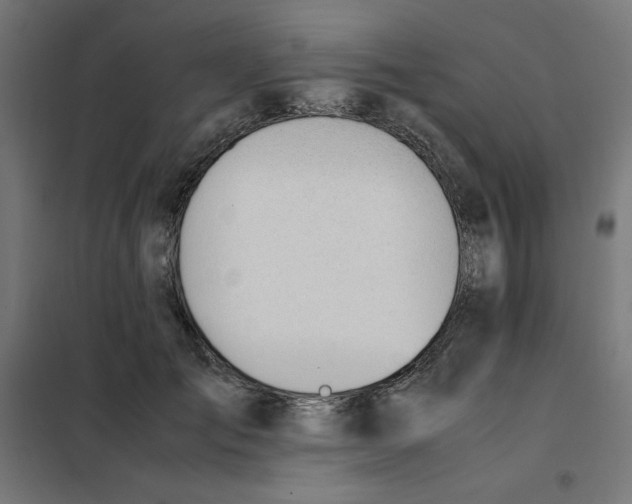 X0000101660701200808071021