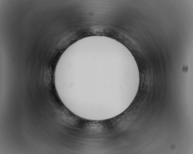X0000101660702200808071021