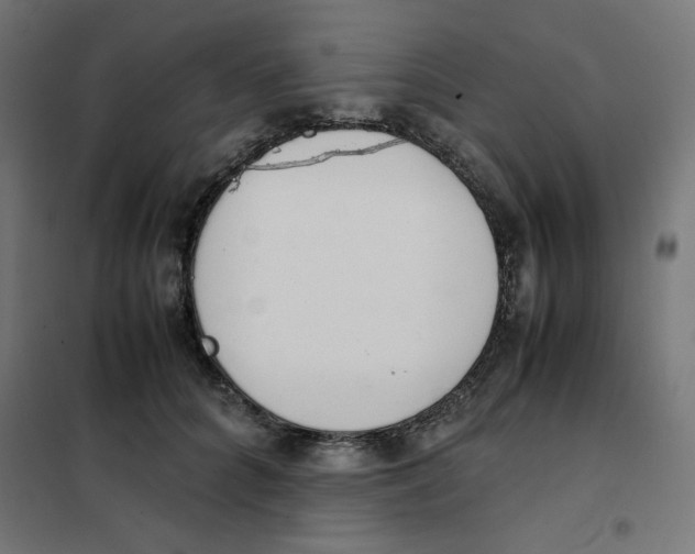 X0000101660704200808071021
