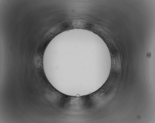 X0000101660705200808071021