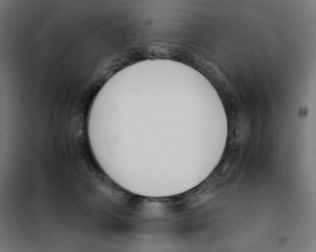 X0000101660706200808071021